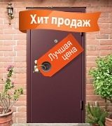 Металлические двери входные с порошковым напылением