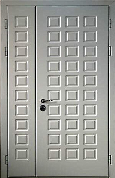 Железная тамбурная дверь Двербург ТБ32 на лестничную площадку 120см х 200см