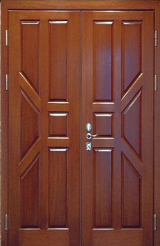 Металлическая тамбурная дверь Двербург ТБ24 на лестничную площадку 120см х 200см
