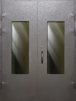 Металлическая дверь ТМ-3