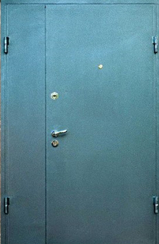 Металлическая дверь Двербург ТБ46 в тамбур 120см х 200см